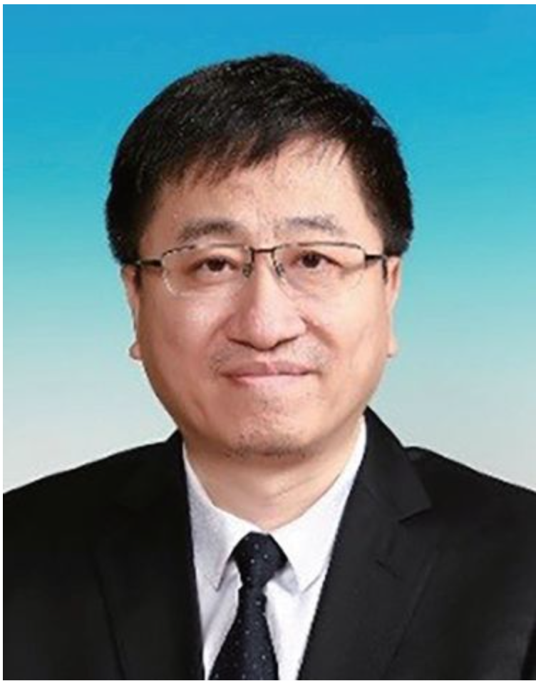 Professor Patrick Schaumont